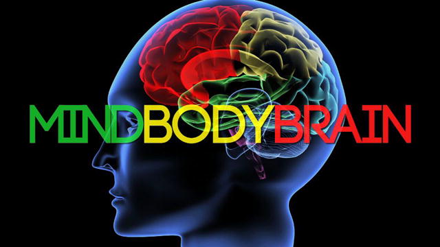 brain based wellness